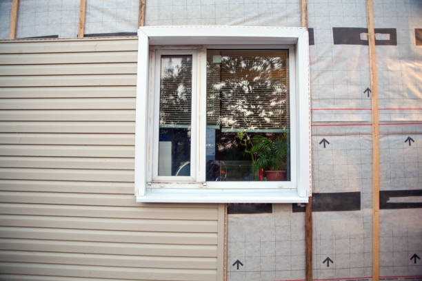 Best Residential Vinyl Siding Installation  in Sebewaing, MI