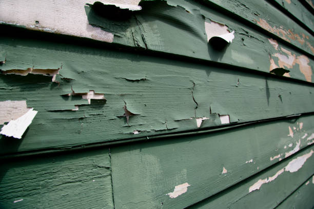 Siding for Multi-Family Homes in Sebewaing, MI