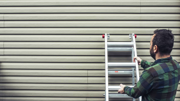 Best Custom Trim and Detailing for Siding  in Sebewaing, MI