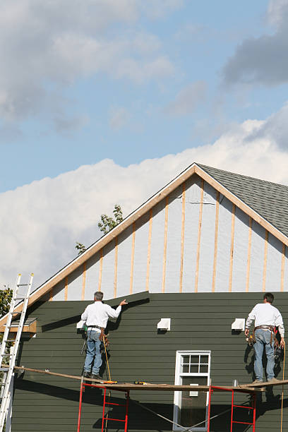 Best Insulated Siding Installation  in Sebewaing, MI